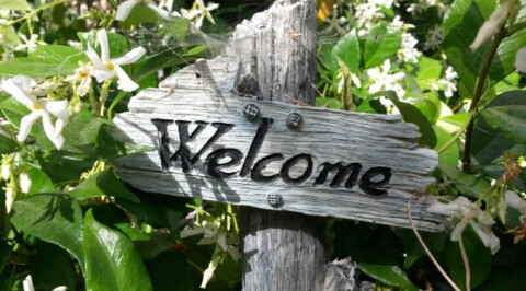Welcome
